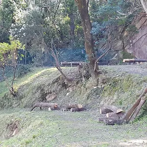 Porto Sul Magra Affittacamere